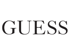 guess 300x232 - guess